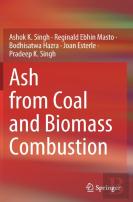 Ash From Coal And Biomass Combustion