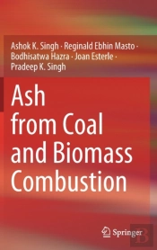 Ash From Coal And Biomass Combustion