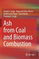 Ash From Coal And Biomass Combustion