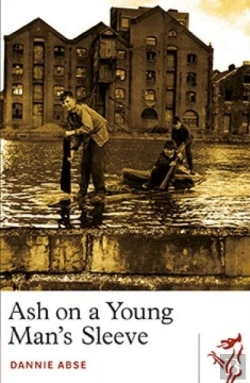 Bertrand.pt - Ash On A Young Man'S Sleeve