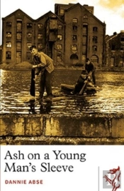 Ash On A Young Man'S Sleeve