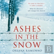 Ashes In The Snow