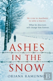Ashes In The Snow