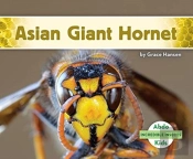 Asian Giant Hornet