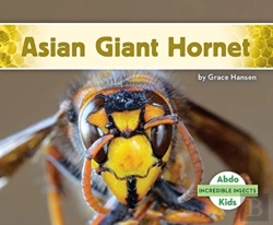 Bertrand.pt - Asian Giant Hornet
