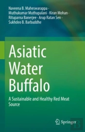 Asiatic Water Buffalo