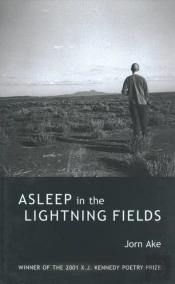 Asleep In The Lightning Fields