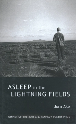 Bertrand.pt - Asleep In The Lightning Fields