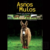 Asnos Y Mulos