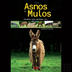 Bertrand.pt - Asnos Y Mulos
