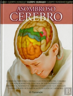 Bertrand.pt - Asombroso Cerebro