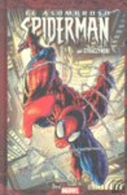 Bertrand.pt - Asombroso Spiderman 6