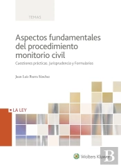 Aspectos Fundamentales Del Procedimiento Monitorio Civil 