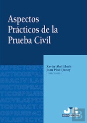 Aspectos Prácticos De La Prueba Civil.