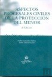 Aspectos Procesales Civiles De La Protección Del Menor