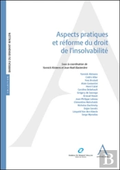 Aspects Pratiques Et Réforme Du Droit De L'Insolvabilité