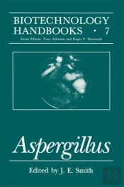 Aspergillus