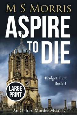 Bertrand.pt - Aspire To Die (Large Print)