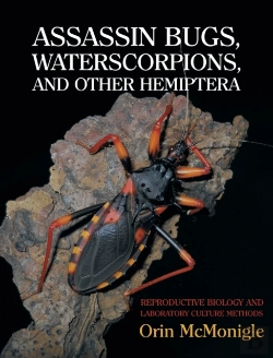 Bertrand.pt - Assassin Bugs, Waterscorpions, And Other Hemiptera