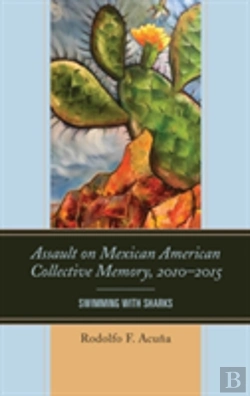 Bertrand.pt - Assault On Mexican American Collective Memory, 2010â€“2015