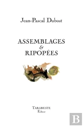Assemblages & Ripopees - Jean-Pascal Dubost