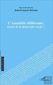 Assemblée Délibérante, Avenir De La Démocratie Locale ?