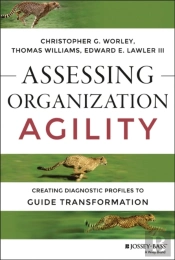 Assessing Organization Agility