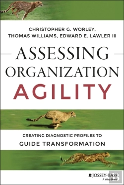 Bertrand.pt - Assessing Organization Agility