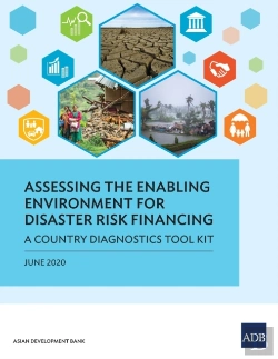 Bertrand.pt - Assessing The Enabling Environment For Disaster Risk Financing