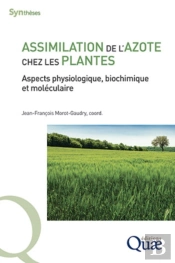 Assimilation De L'Azote Chez Les Plantes