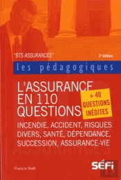 Assurance En 110 Questions 2e Edt (L)