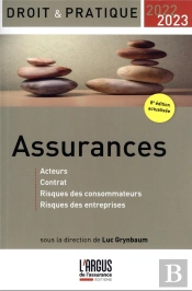 Assurances : Acteurs, Contrat, Risques Des Consommateurs, Risques Des... (Édition 2022/2023)