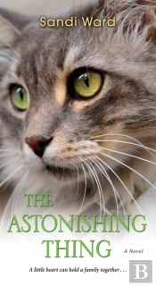 Astonishing Thing