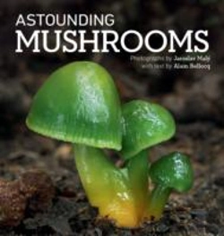 Bertrand.pt - Astounding Mushrooms