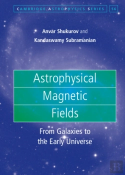 Bertrand.pt - Astrophysical Magnetic Fields