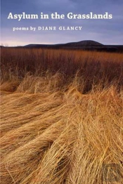 Asylum In The Grasslands
