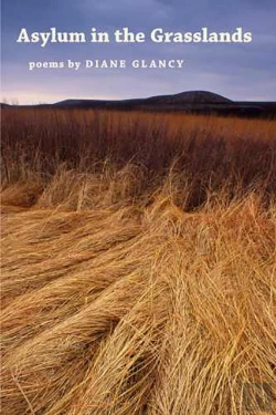 Bertrand.pt - Asylum In The Grasslands