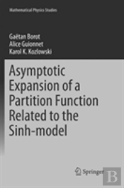 Asymptotic Expansion Of A Partition Function Related To The Sinh-Model