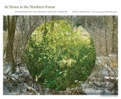 At Home In The Northern Forest