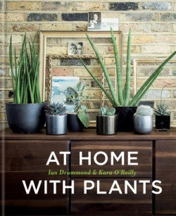 Bertrand.pt - At Home With Plants