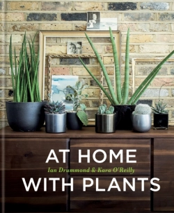 Bertrand.pt - At Home With Plants
