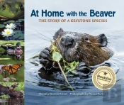 At Home With The Beaver