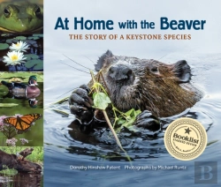 Bertrand.pt - At Home With The Beaver