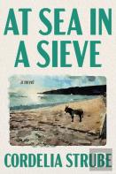 At Sea In A Sieve