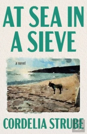 At Sea In A Sieve