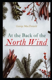 At The Back Of The North Wind