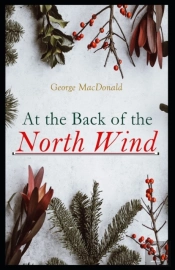At The Back Of The North Wind
