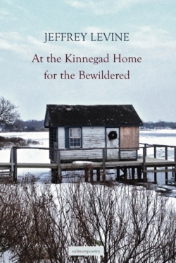 Bertrand.pt - At The Kinnegad Home For The Bewildered