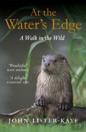At The Water'S Edge