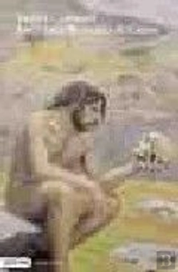 Bertrand.pt - Atapuerca: Perduts Al Turó